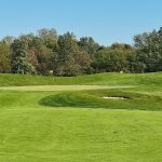 green grass with the flag in the hole.