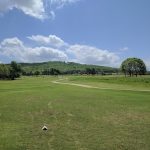 green grass with the flag in the hole.