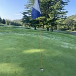 green grass with the flag in the hole.