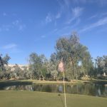 green grass with the flag in the hole.