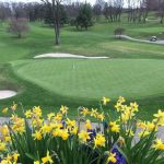 green grass with the flag in the hole.