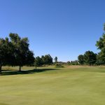 green grass with the flag in the hole.