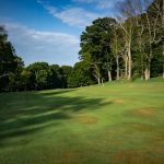 green grass with the flag in the hole.