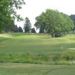 green grass with the flag in the hole.