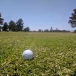 green grass with the flag in the hole.