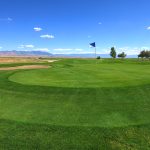 green grass with the flag in the hole.