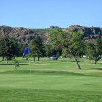 green grass with the flag in the hole.