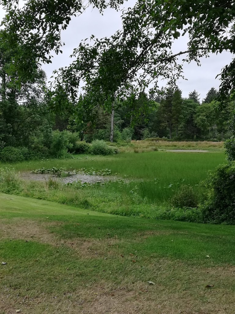 Panoramic view of a lush green golf course at Surfside Golf Course. Smooth