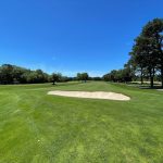 green grass with the flag in the hole.