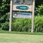 green grass with the flag in the hole.