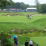 green grass with the flag in the hole.