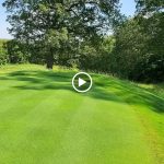 green grass with the flag in the hole.