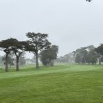 green grass with the flag in the hole.