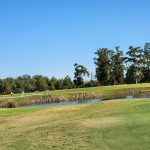 Panoramic view of a lush green golf course at TPC Louisiana. Smooth