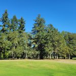 Panoramic view of a lush green golf course at Tahoma Valley Golf Course. Smooth