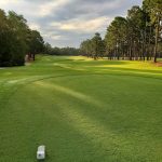 green grass with the flag in the hole.