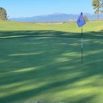green grass with the flag in the hole.