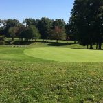 green grass with the flag in the hole.