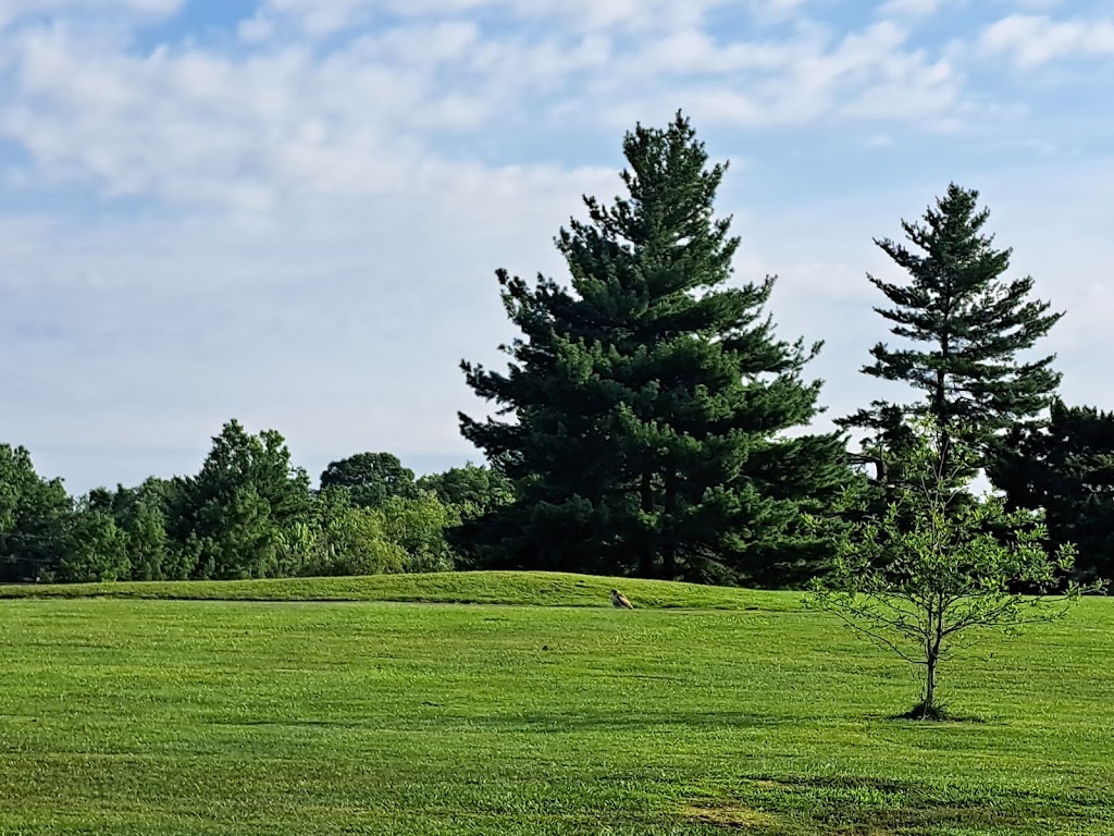 Panoramic view of a lush green golf course at Tates Creek Golf Course. Smooth
