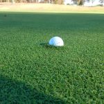 green grass with the flag in the hole.