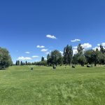 Panoramic view of a lush green golf course at Teton Lakes Golf Course. Smooth