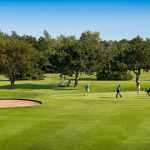 Panoramic view of a lush green golf course at Tex Consolver Golf Course. Smooth