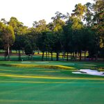 Panoramic view of a lush green golf course at Texarkana Country Club. Smooth