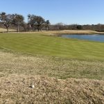 green grass with the flag in the hole.