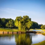 Panoramic view of a lush green golf course at The Cardinal by Pete Dye. Smooth