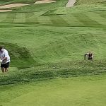 green grass with the flag in the hole.