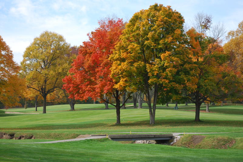 Panoramic view of a lush green golf course at The Country Club of Indianapolis. Smooth