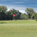 green grass with the flag in the hole.