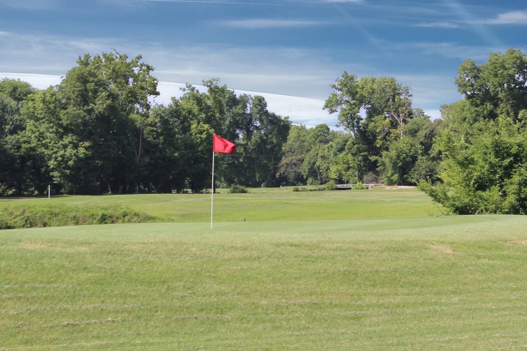 green grass with the flag in the hole.