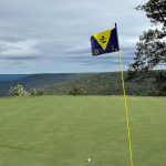 green grass with the flag in the hole.