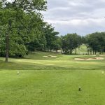 green grass with the flag in the hole.