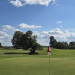 green grass with the flag in the hole.