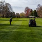 green grass with the flag in the hole.