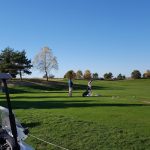 green grass with the flag in the hole.