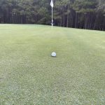 green grass with the flag in the hole.