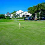 green grass with the flag in the hole.
