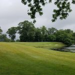 green grass with the flag in the hole.