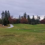 green grass with the flag in the hole.