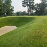 green grass with the flag in the hole.