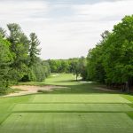green grass with the flag in the hole.