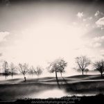 Panoramic view of a lush green golf course at The Island Golf Course. Smooth