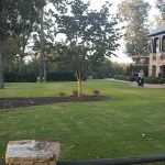 green grass with the flag in the hole.