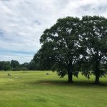 Panoramic view of a lush green golf course at The Links at Audubon. Smooth