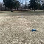 Panoramic view of a lush green golf course at The Links at Fox Meadows. Smooth