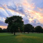 Panoramic view of a lush green golf course at The Links at Fox Meadows. Smooth