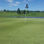 green grass with the flag in the hole.